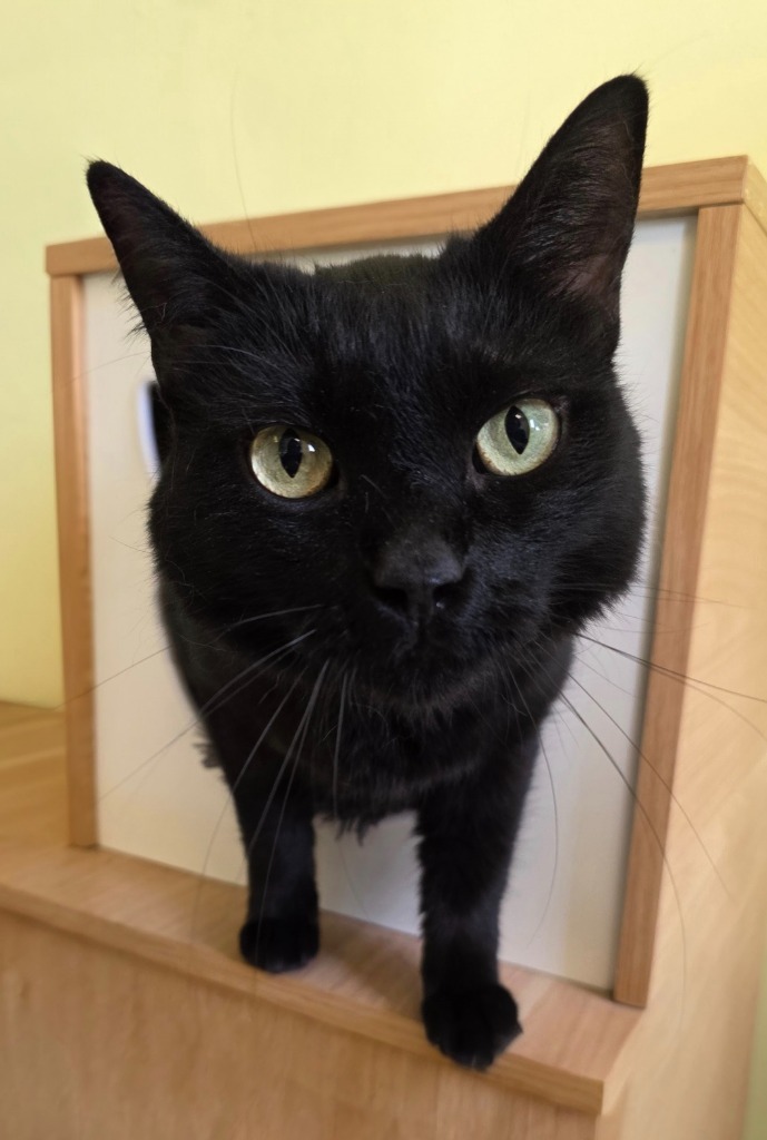Kiki