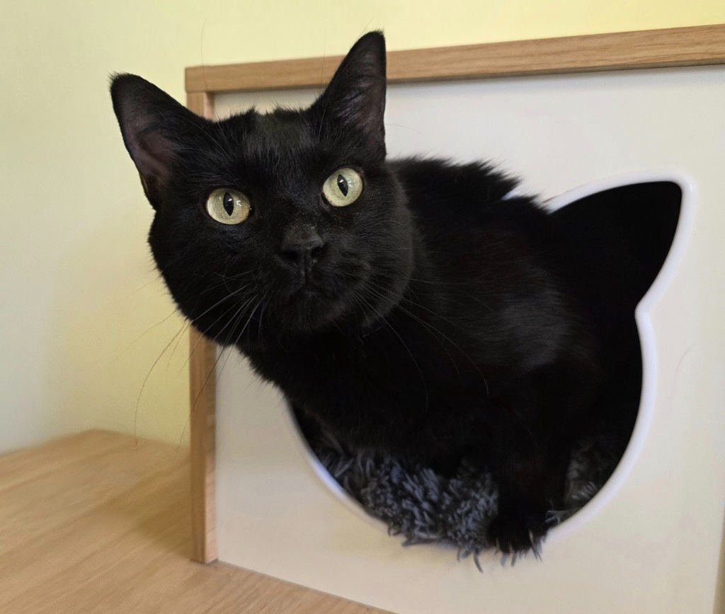Kiki
