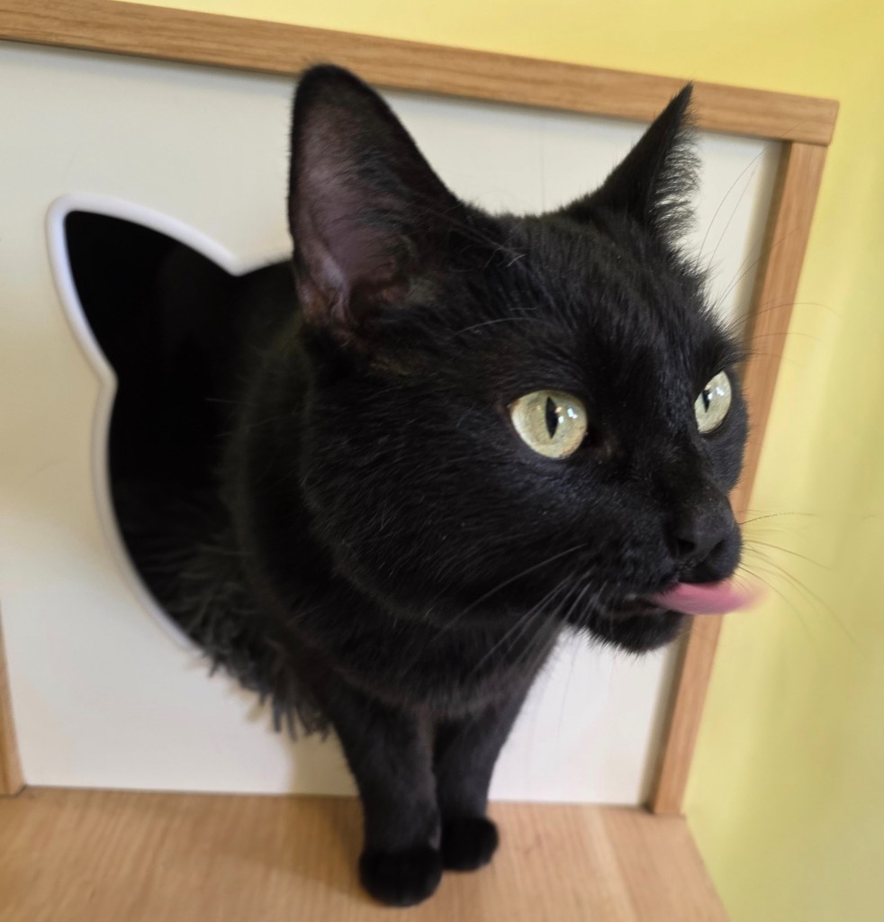 Kiki