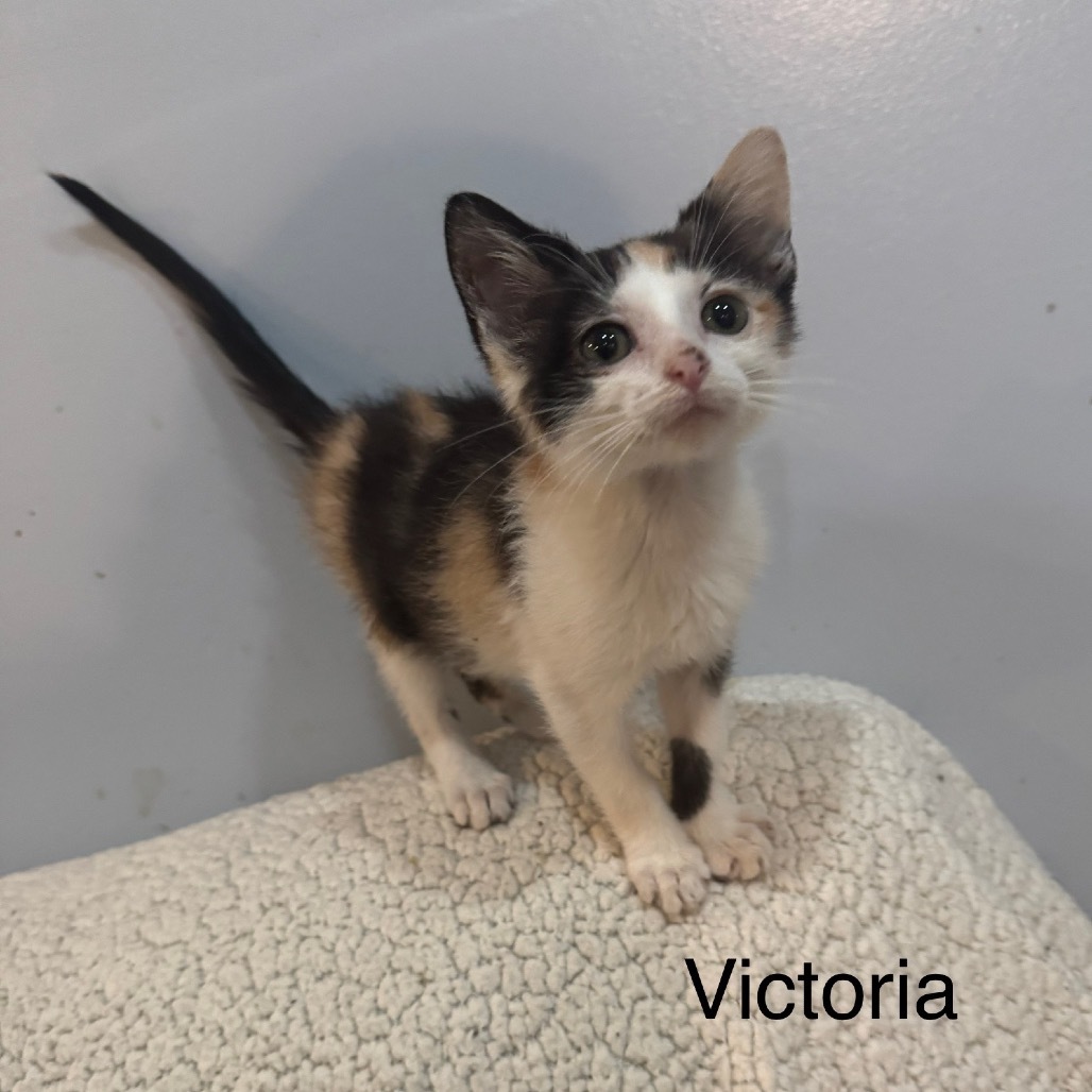 Victoria