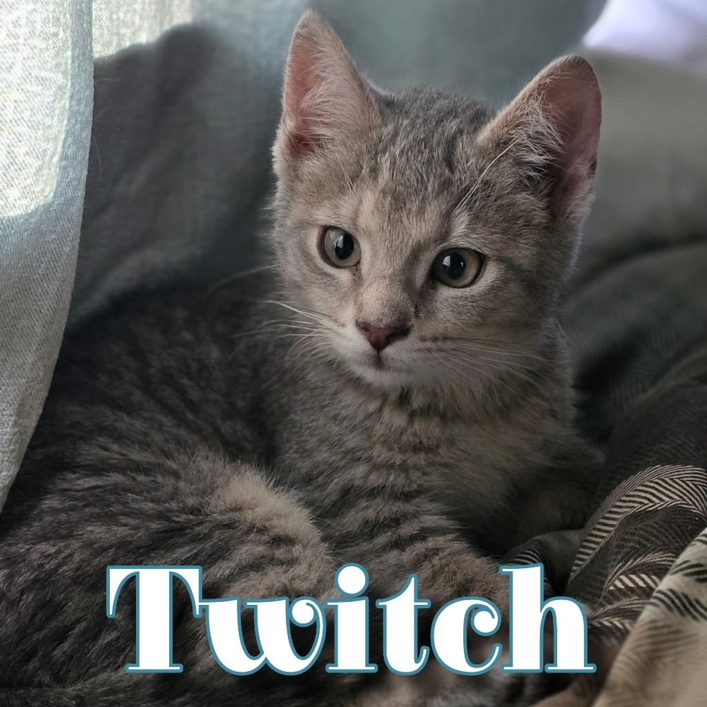 Twitch