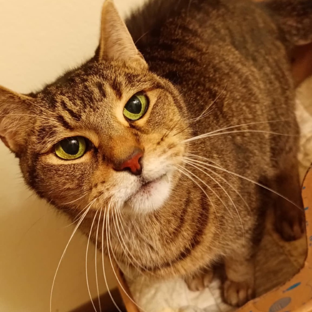 Rosie