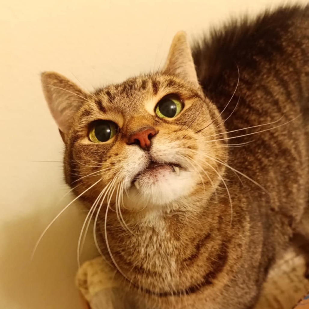 Rosie