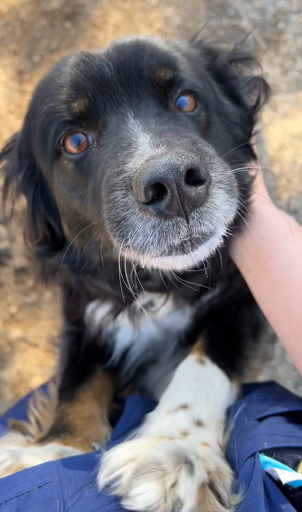 Nina