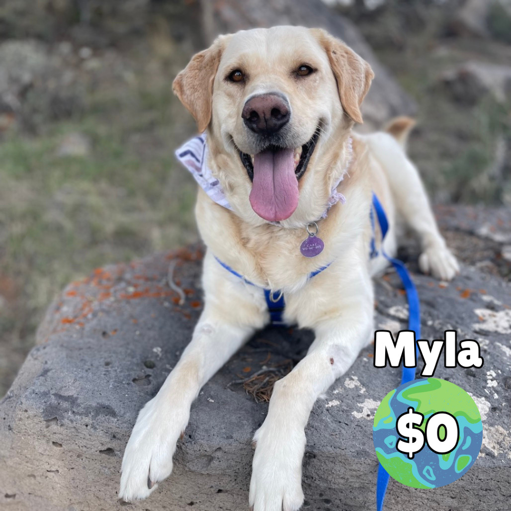 Myla