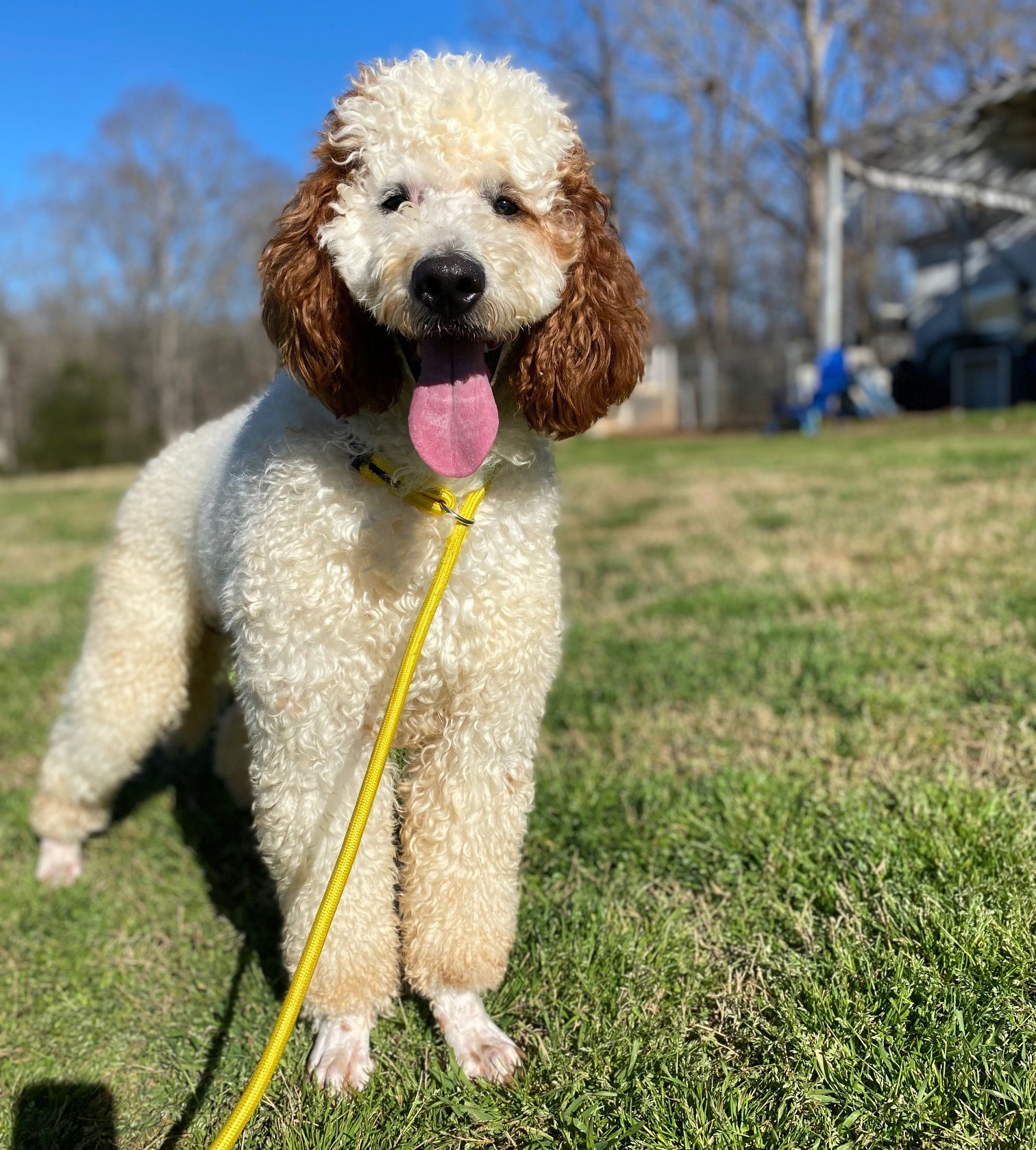Oakley Mar 25