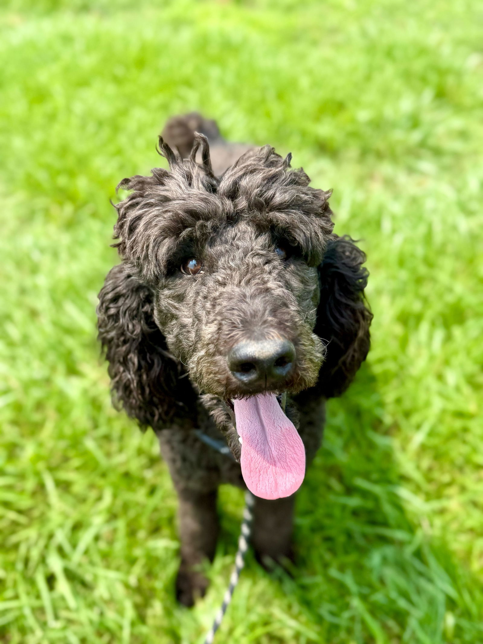 Castiel Apr 25