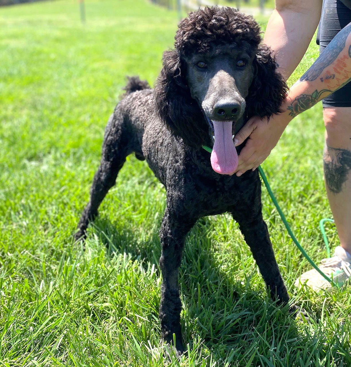 Castiel Apr 25