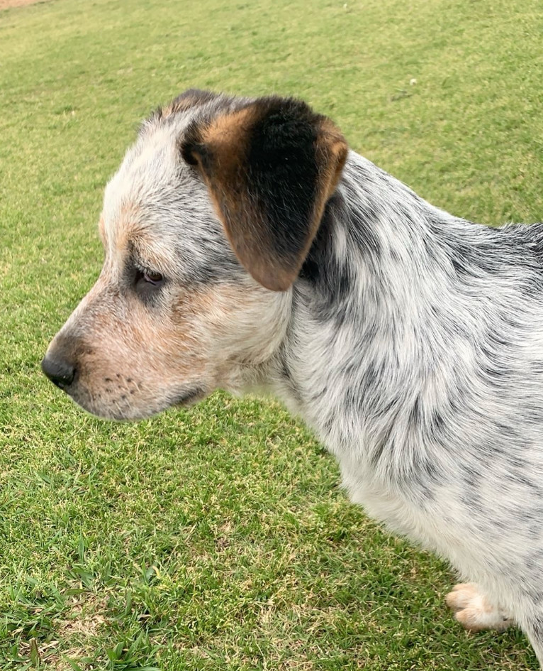 Osita