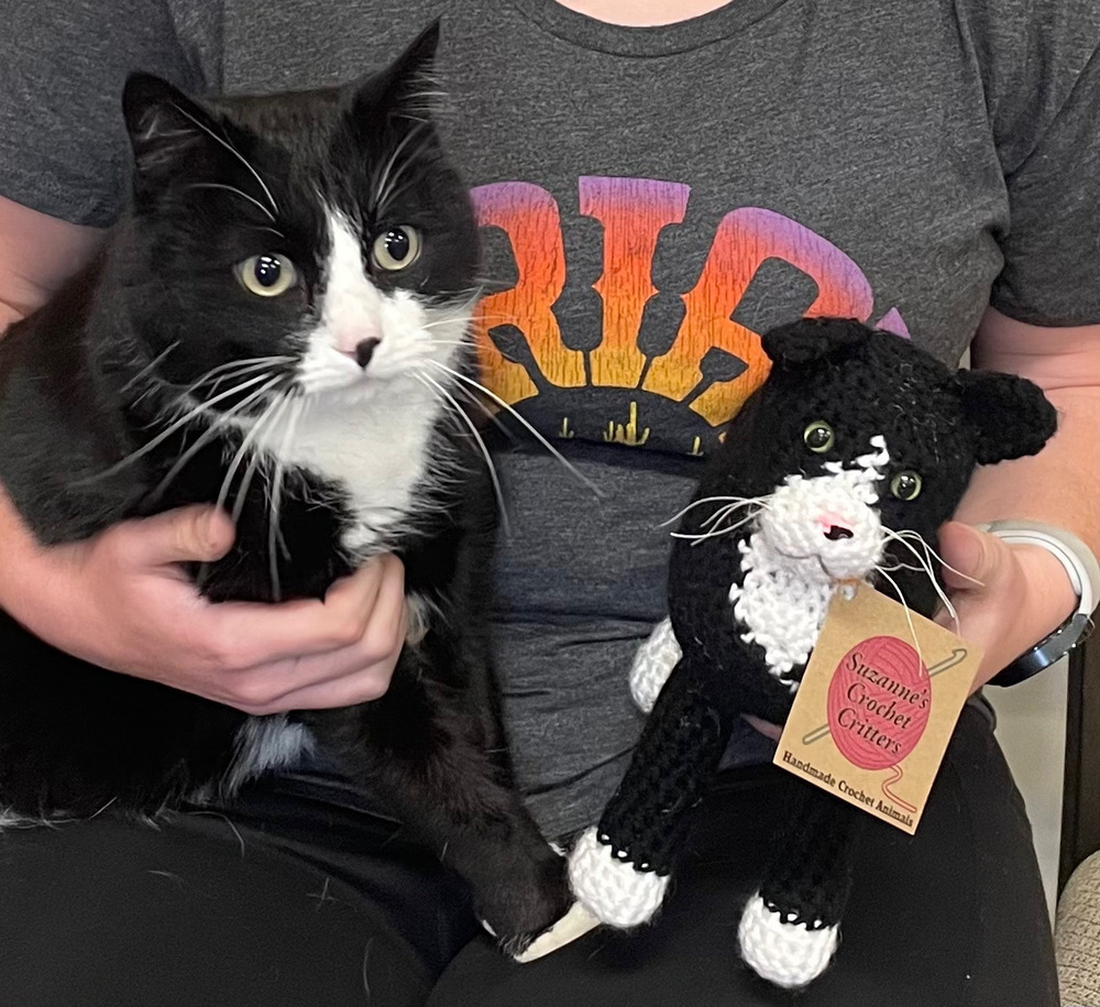 Oreo ~ Sponsored Adoption Fee!