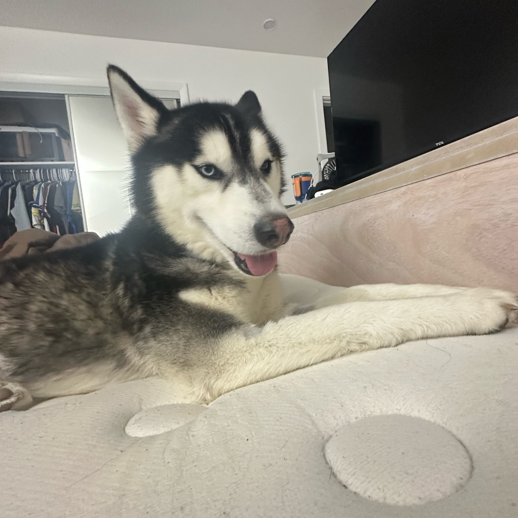 Loki