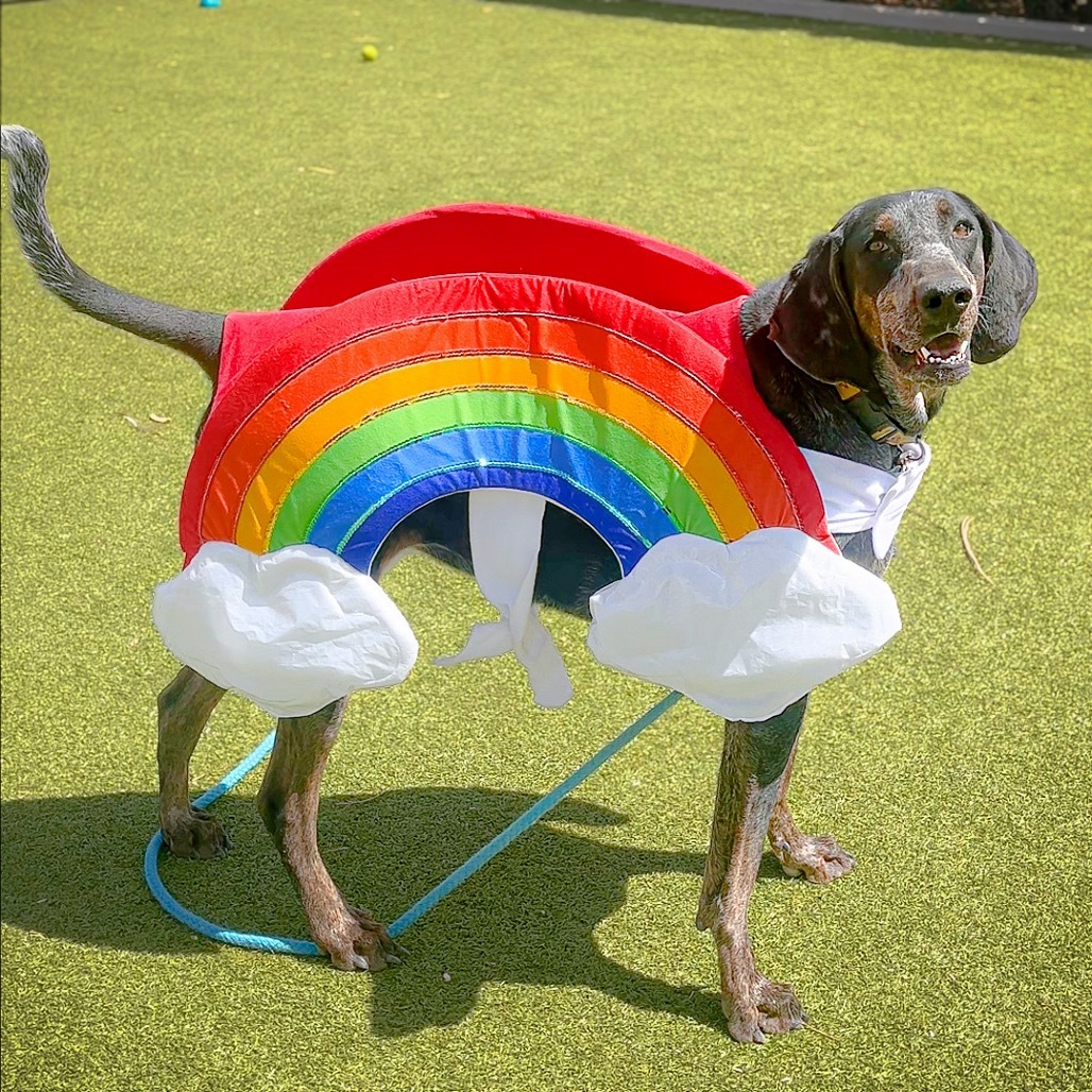 Snoopy