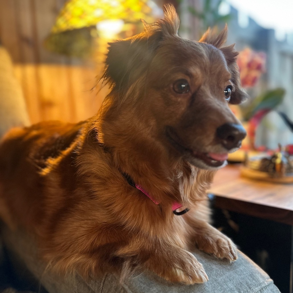 Chloe