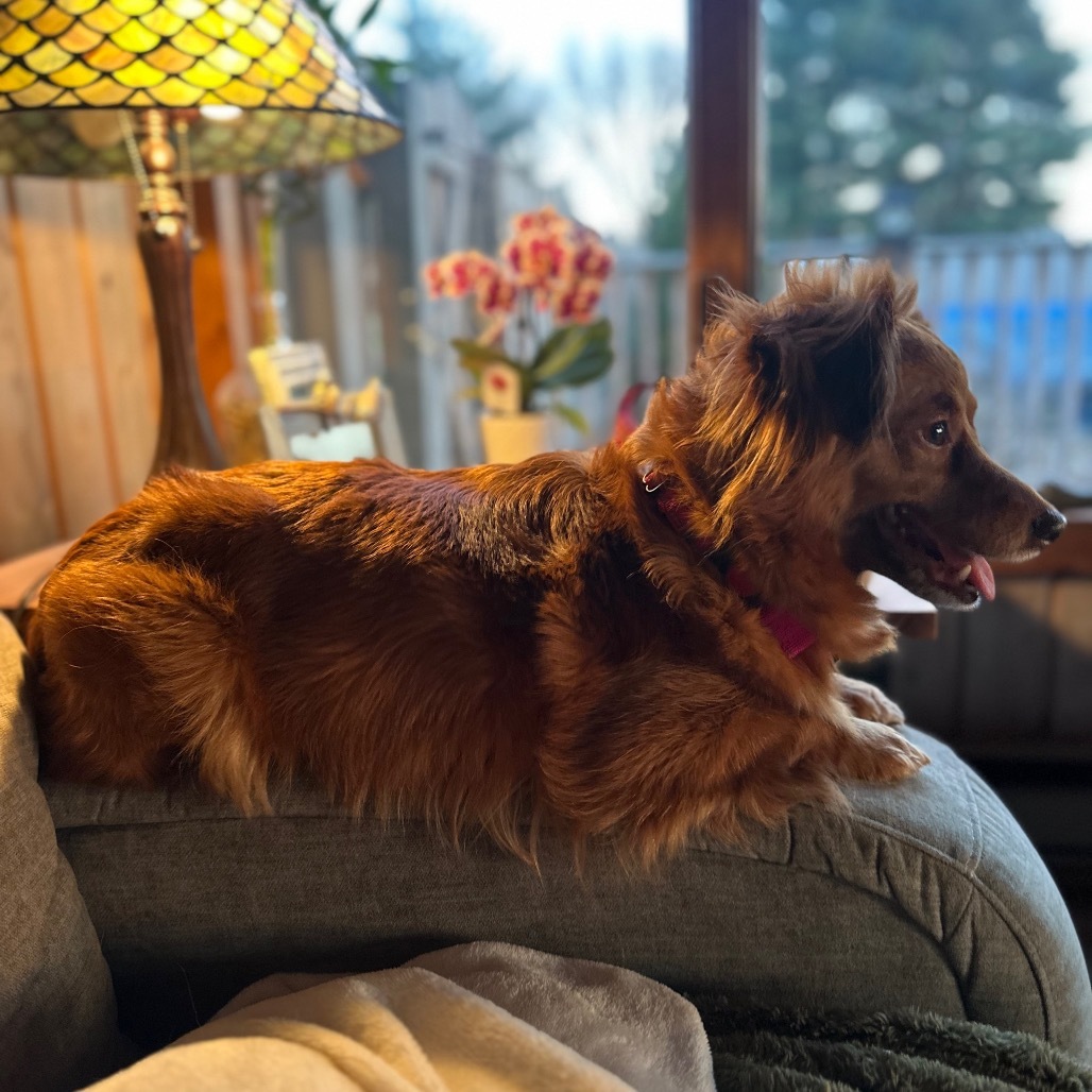 Chloe