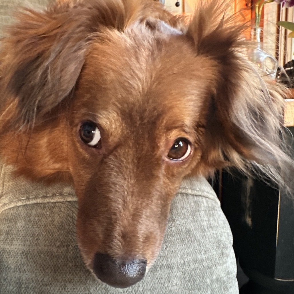 Chloe