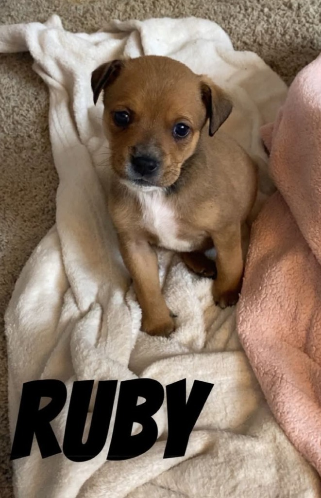 Ruby