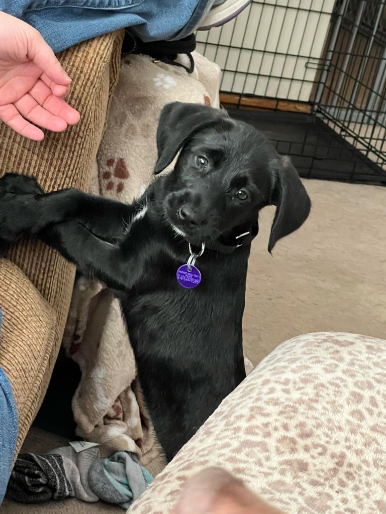Delilah