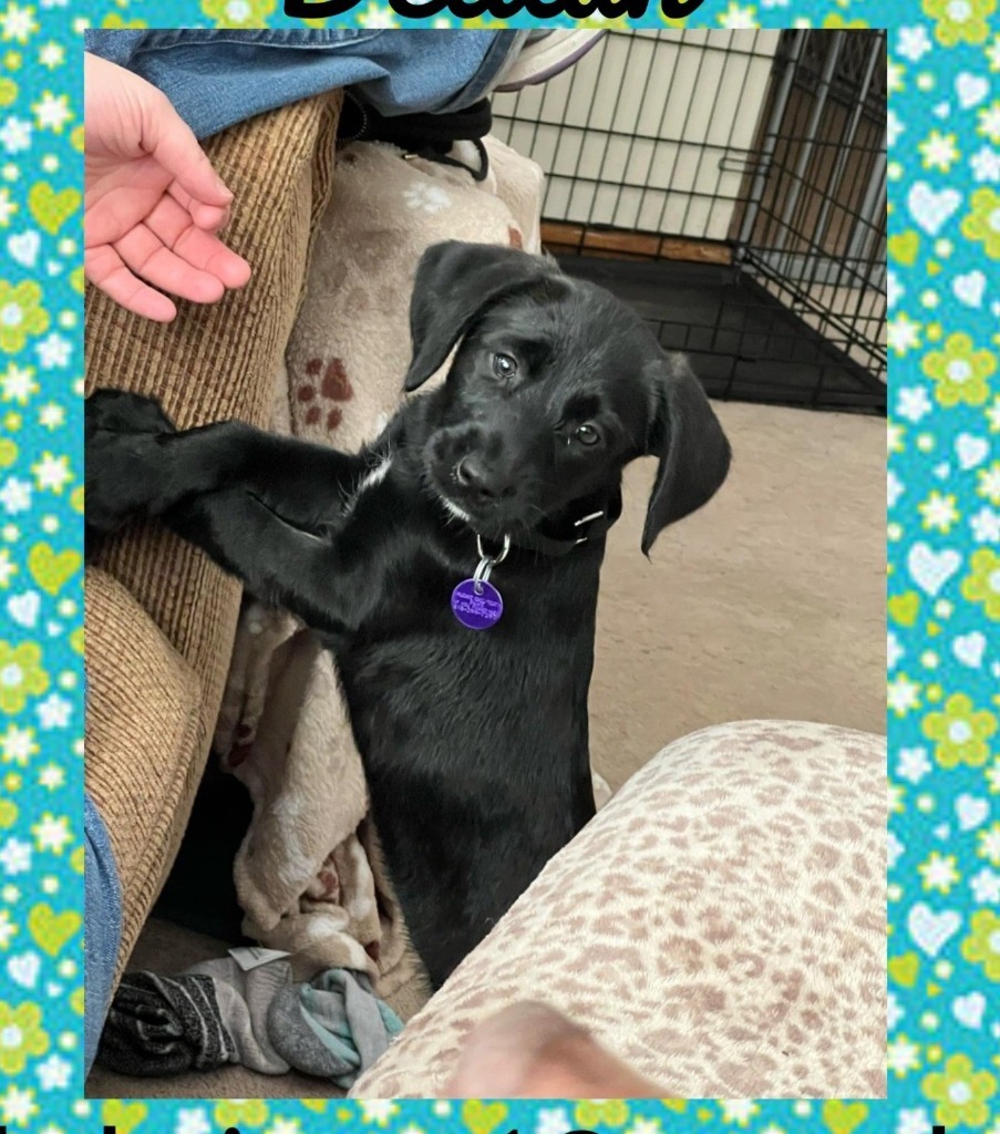 Delilah