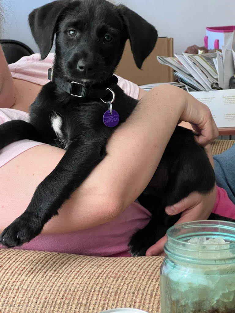 Delilah