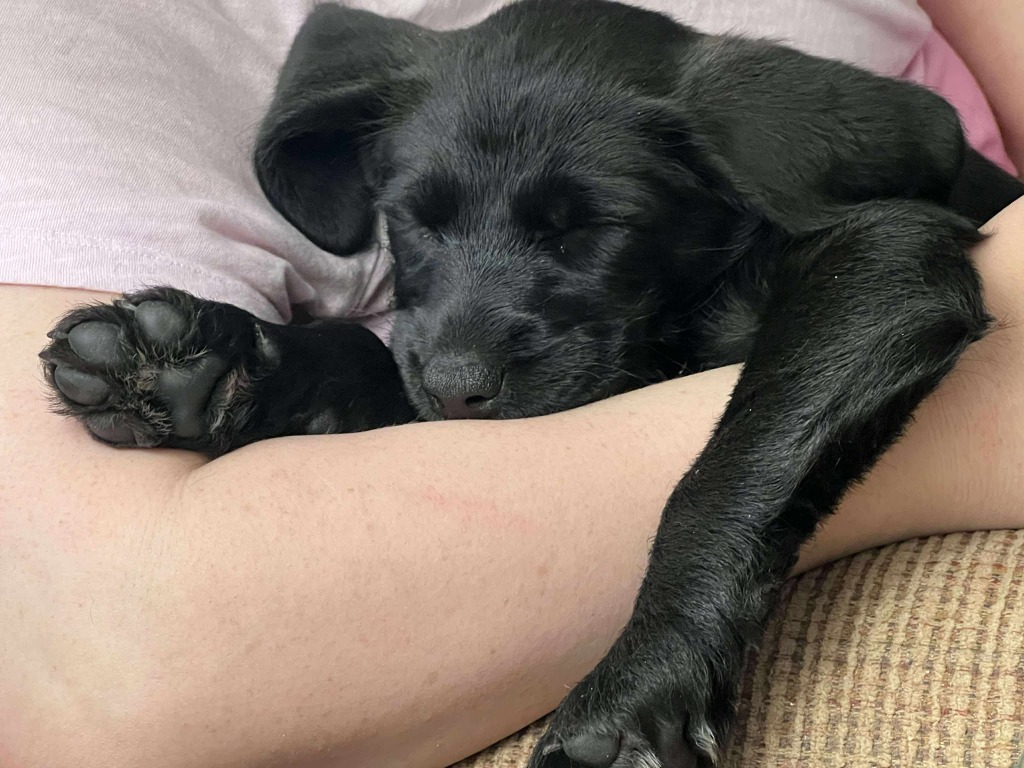 Delilah