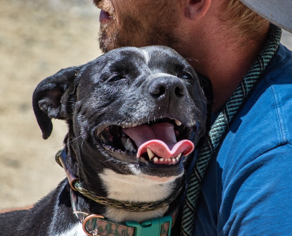 Laika (Mara)