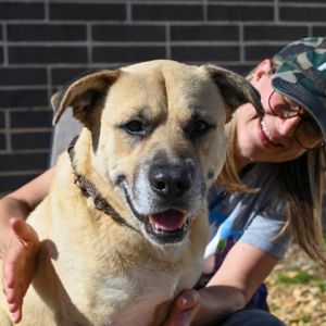 Come hang with good boy HAGAN This sweet boy will inspire you to slow life down to sniff the flowe