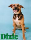 Dixie