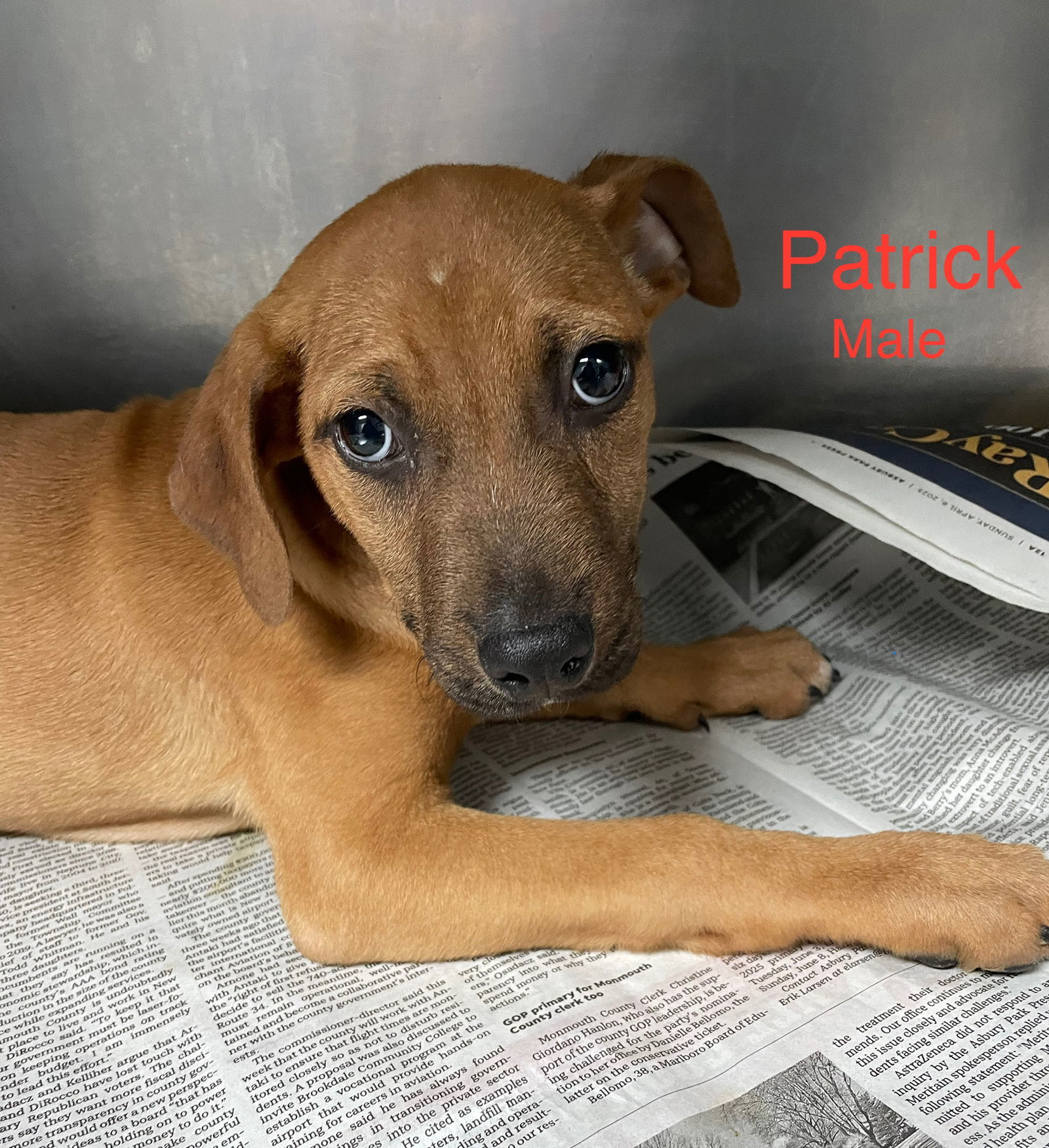 Patrick