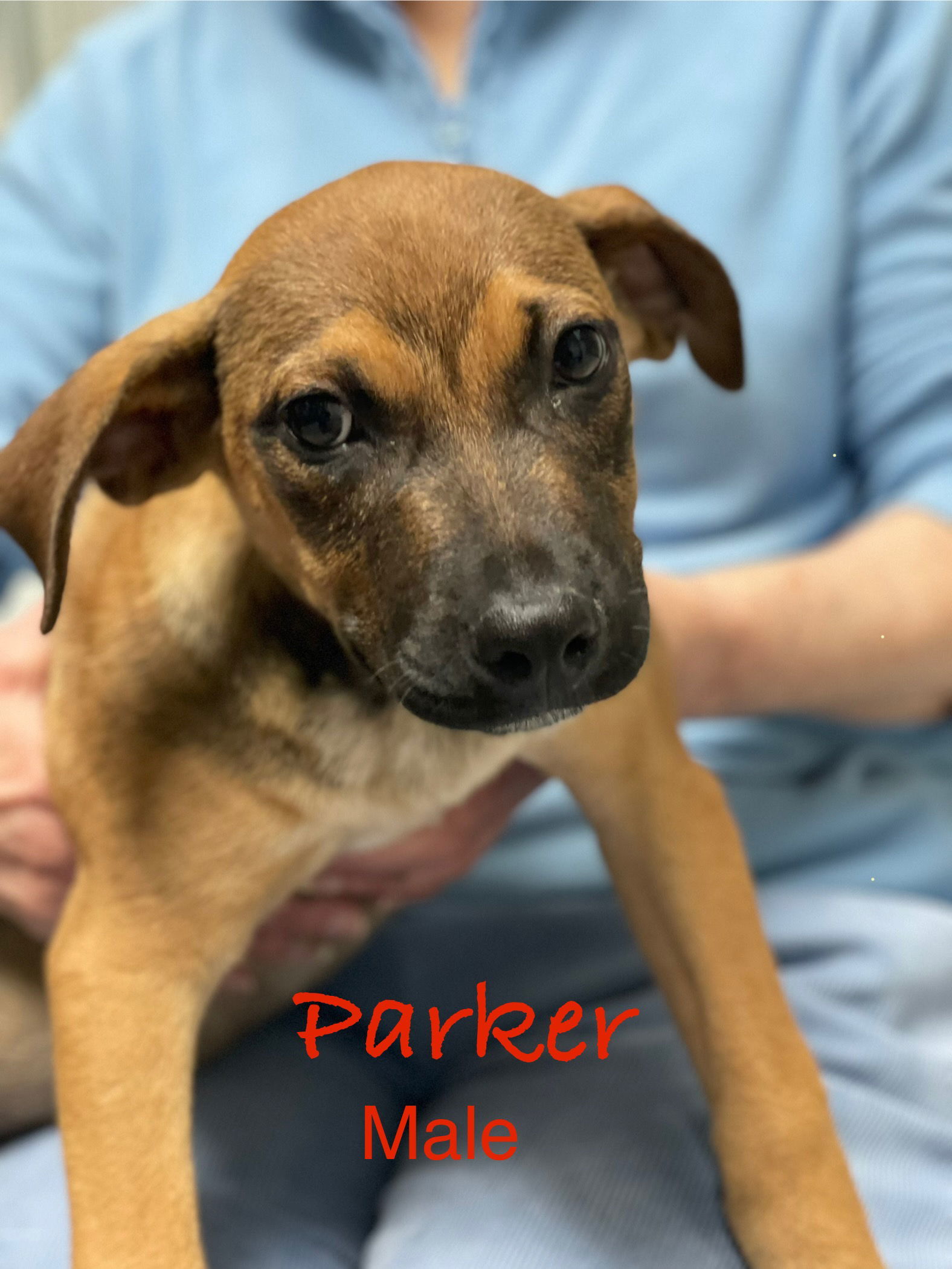 Parker
