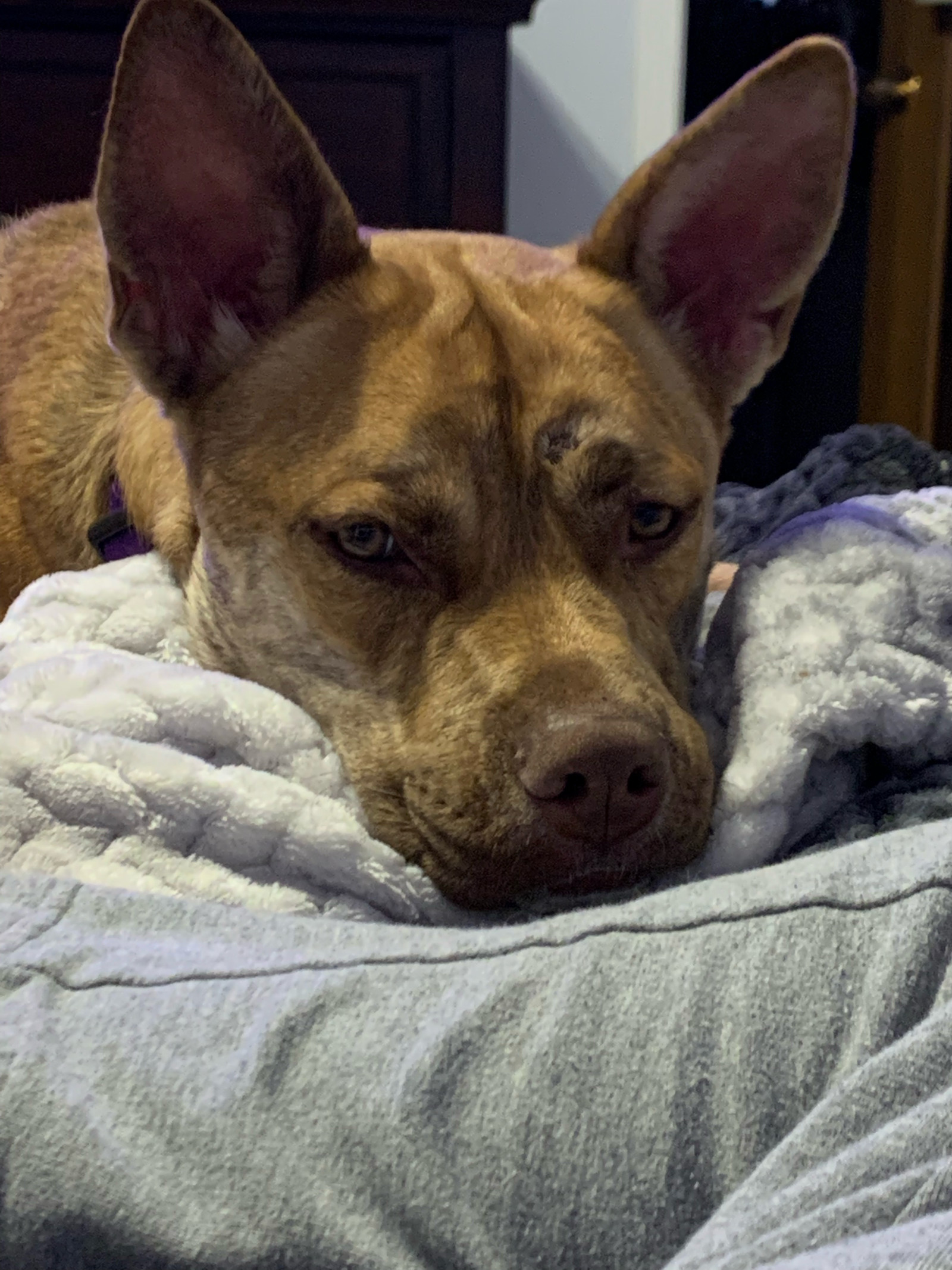 SADIE #5