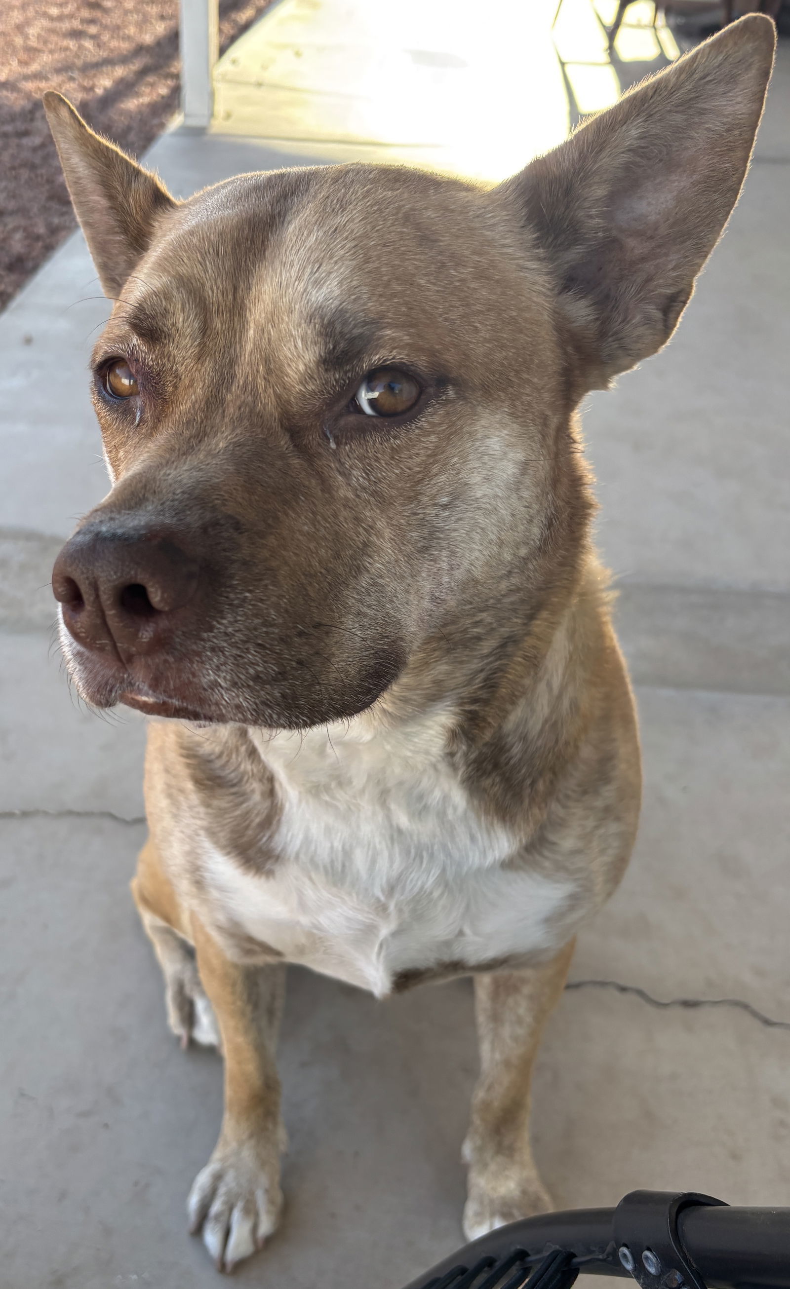 SADIE #5