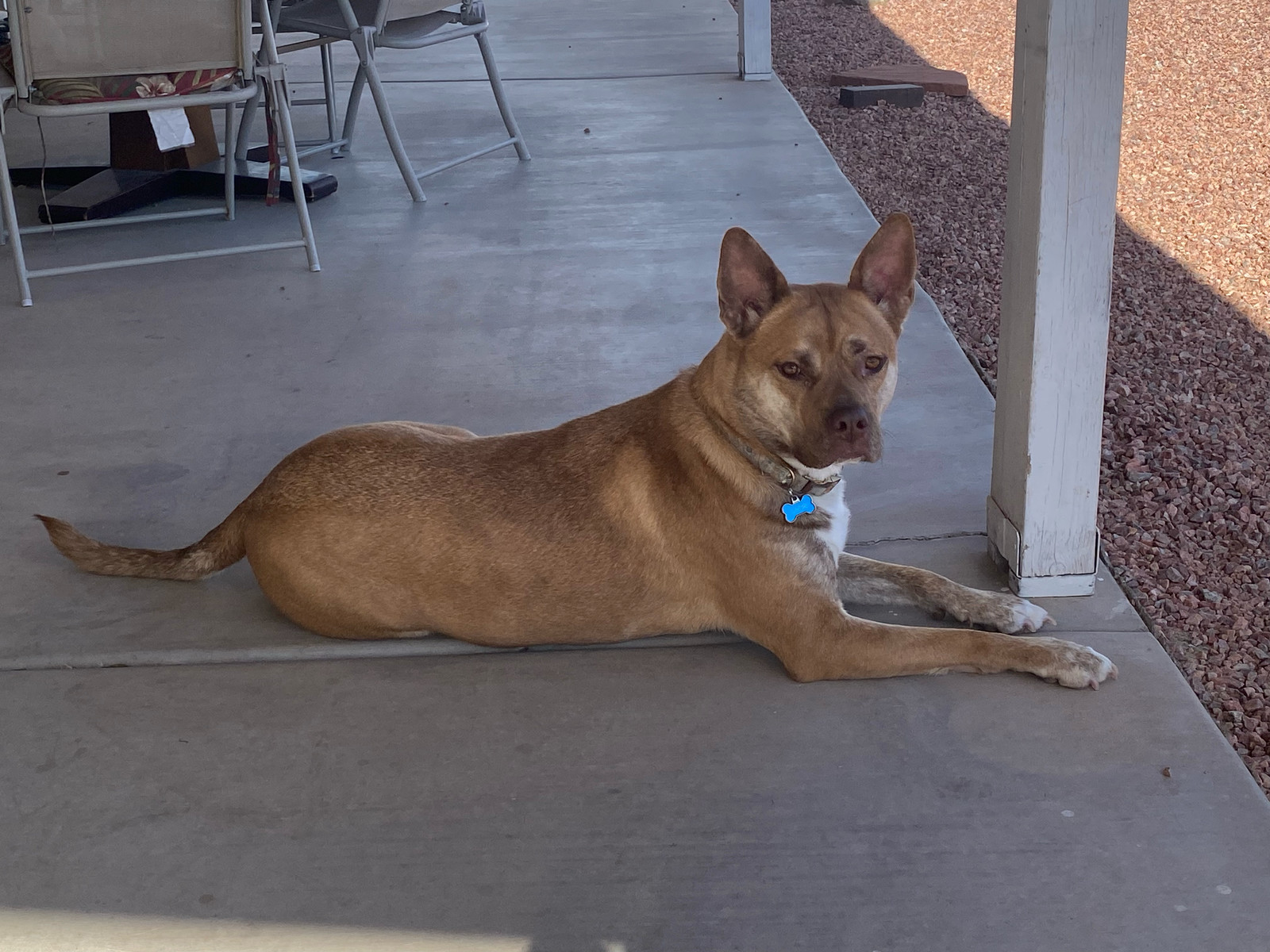 SADIE #5