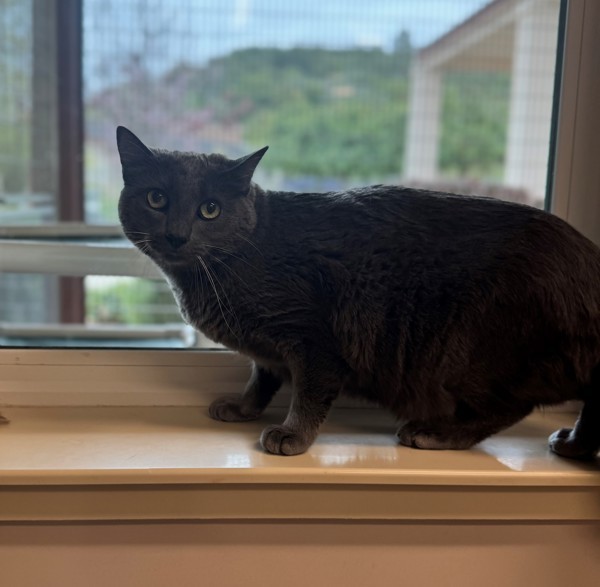 Archimedes