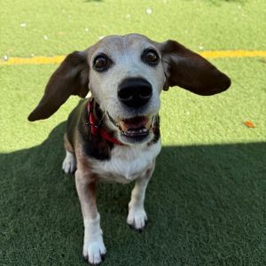 Mr Sonny, Senior Male unknown