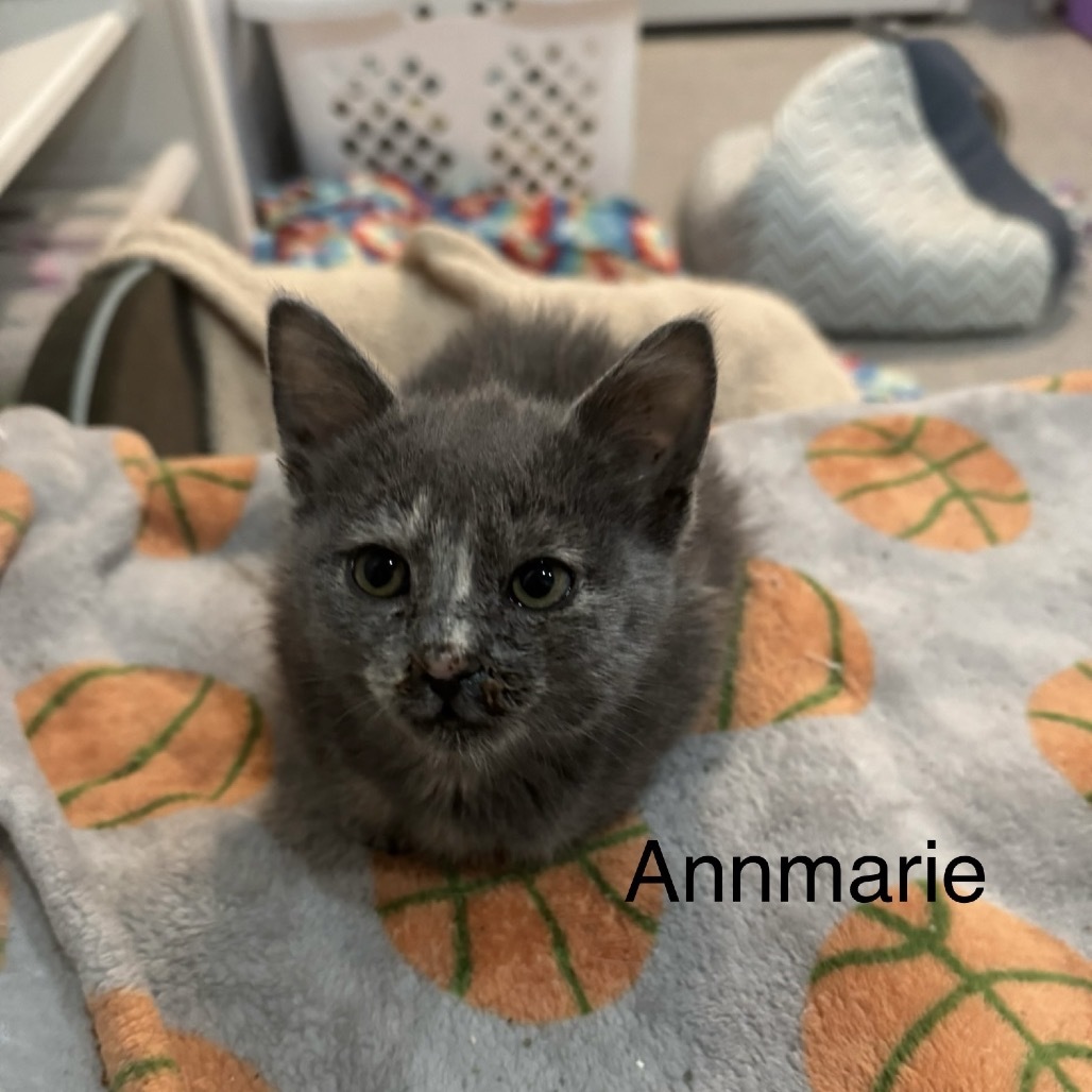 Annmarie