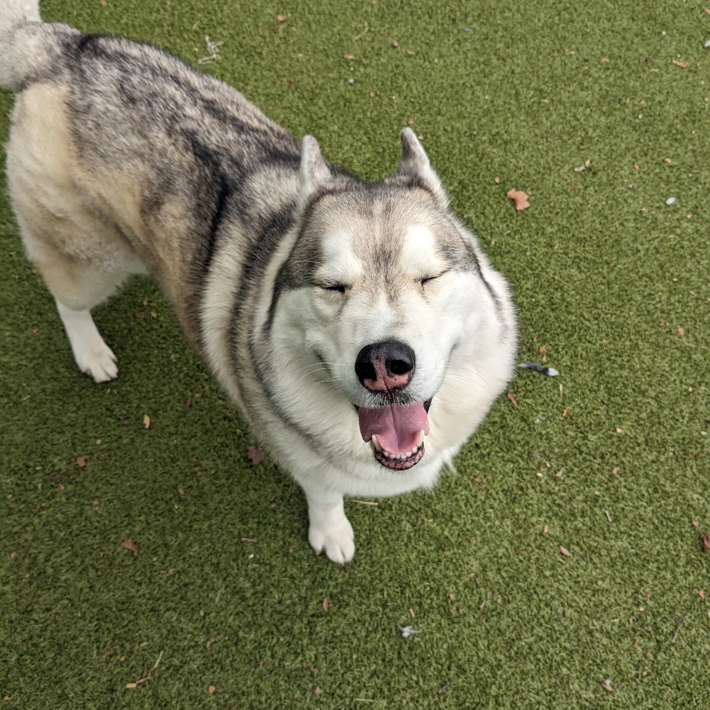 Max