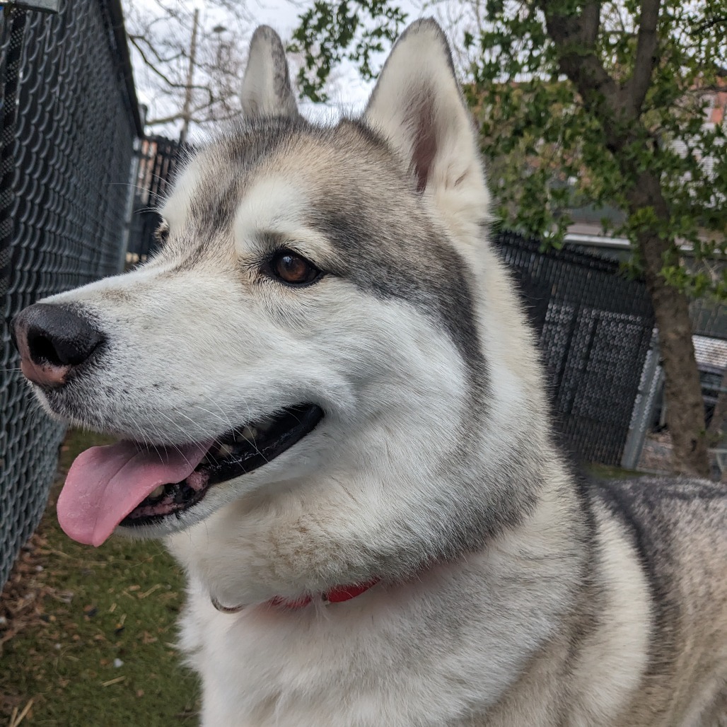 Max