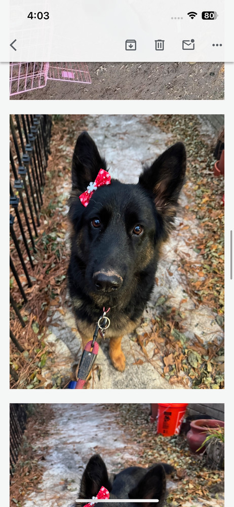Mia