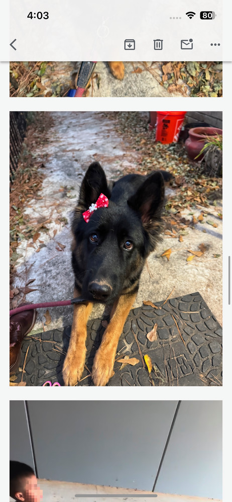 Mia