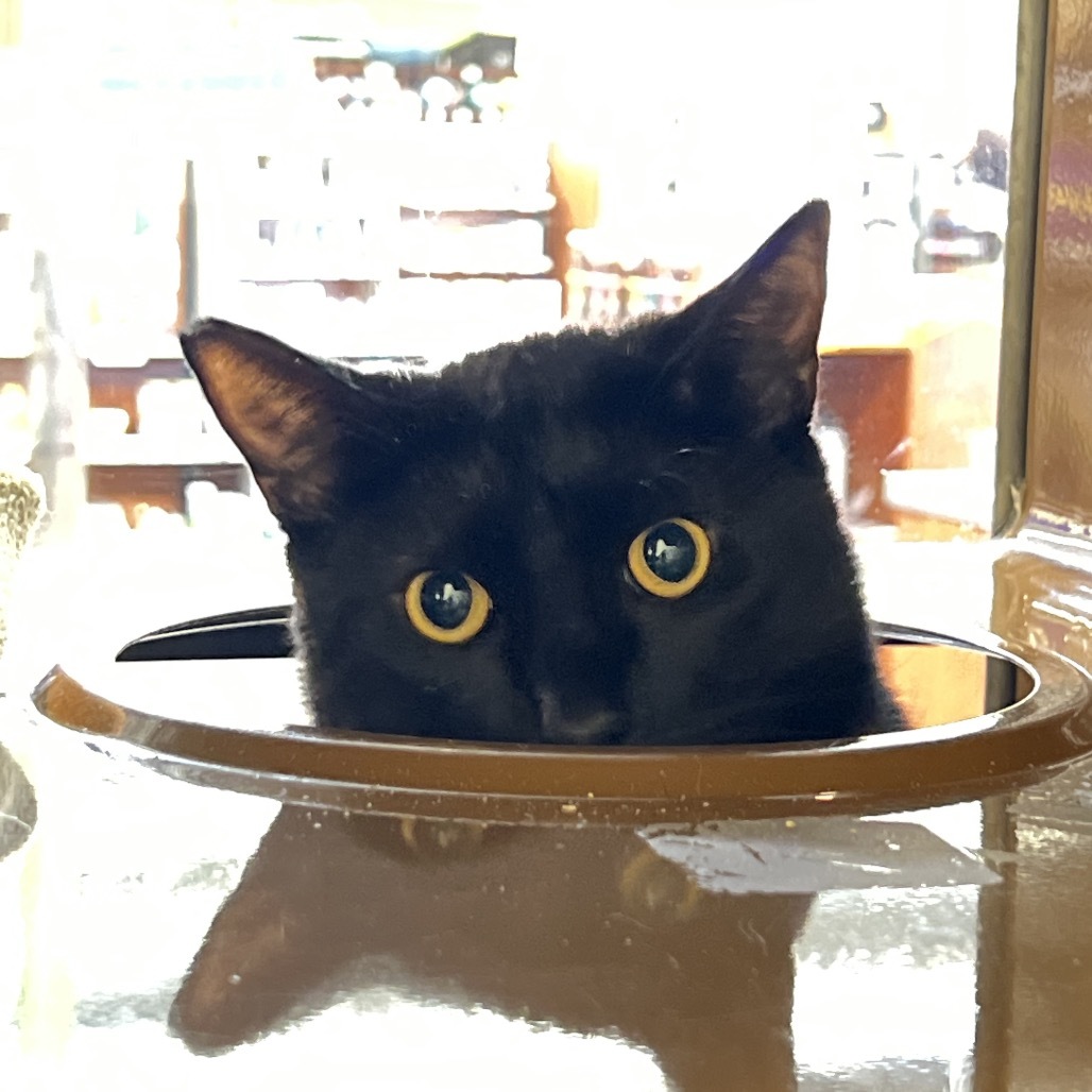 Pepper
