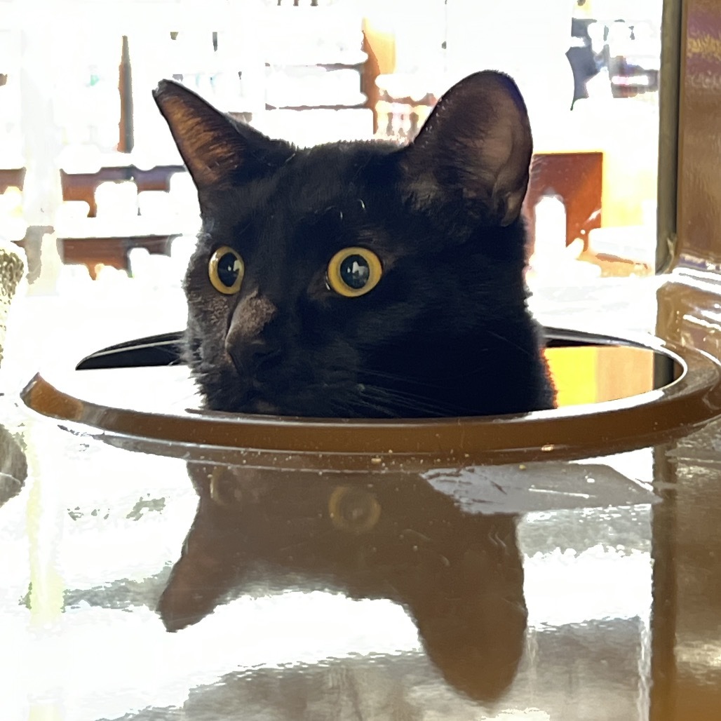 Pepper