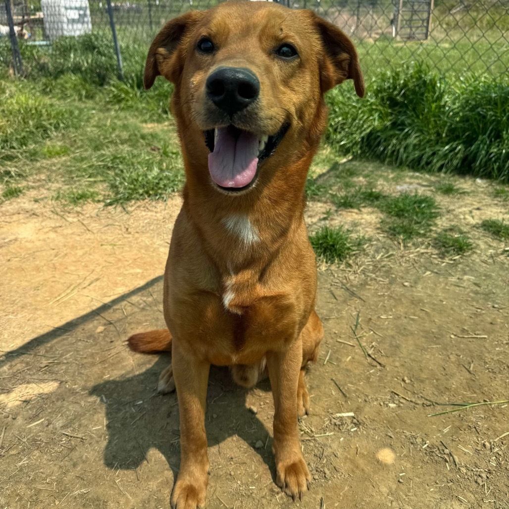Paolo