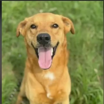 Paolo