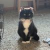 Bodie--In Foster photo 3