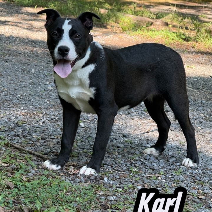 Karl 1