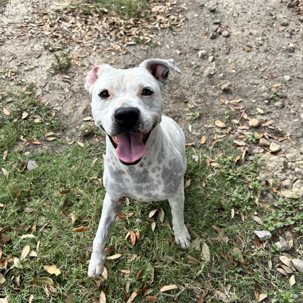 Mrs. Spots
