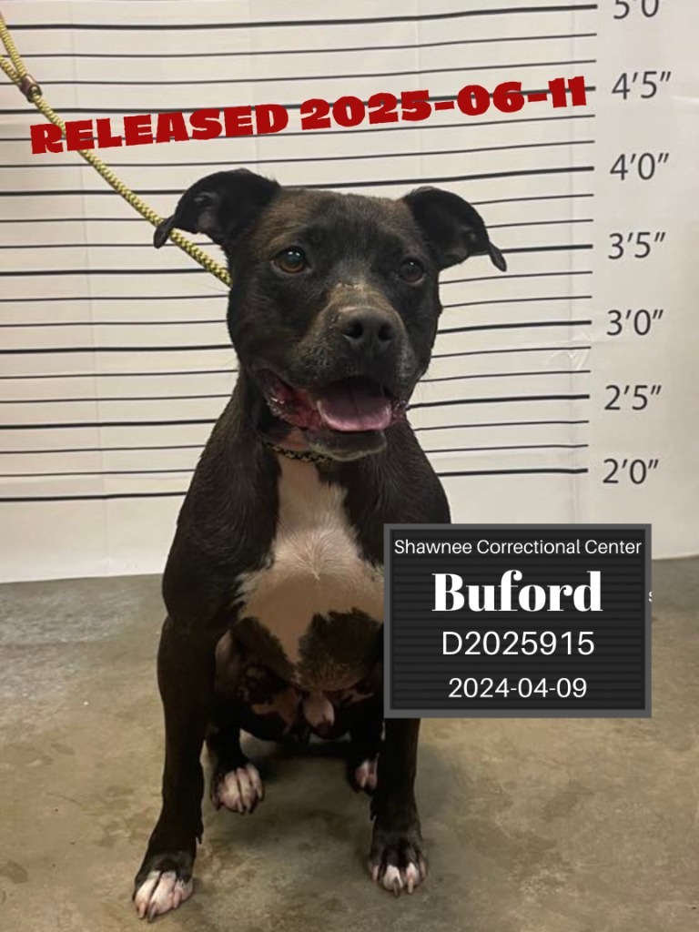 Buford