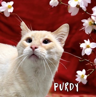 Purdy 125009