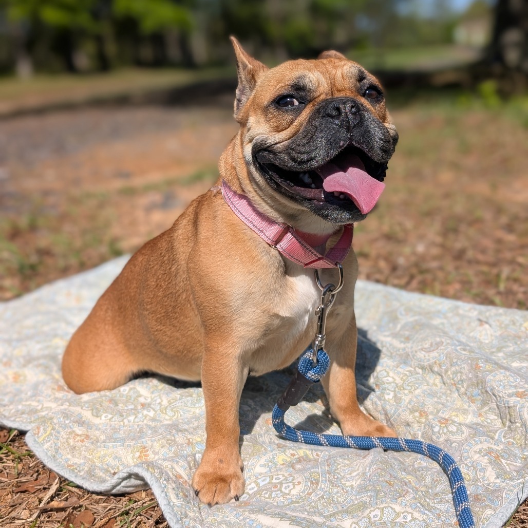 Mitzi 04-0512
