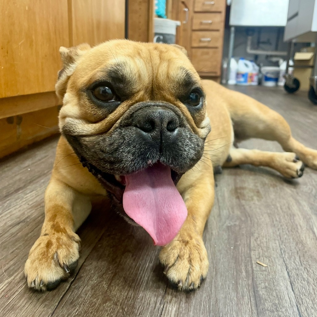 Mitzi 04-0512